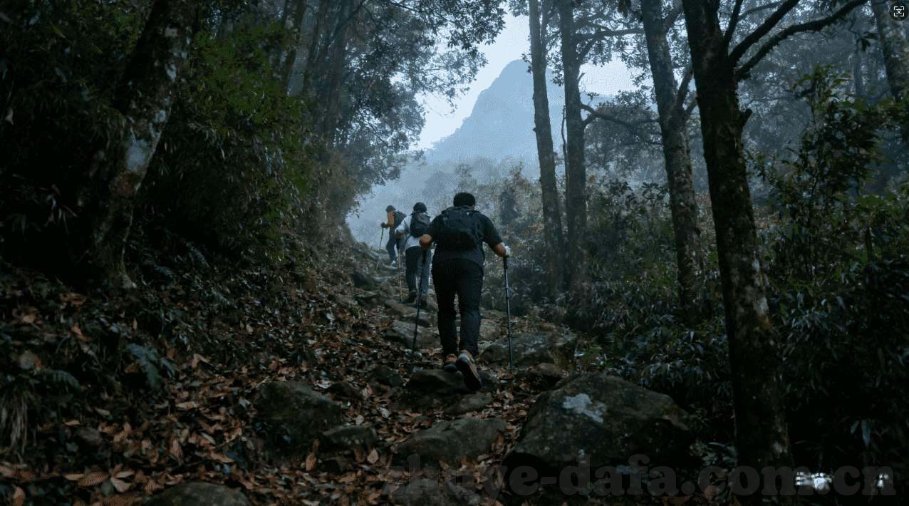 世界杯买体彩合法吗-世界杯买体彩的合法性探讨